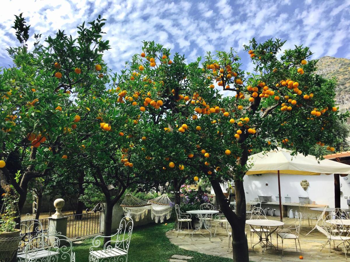 Palazzo Cacace Relais 호텔 메타 외부 사진