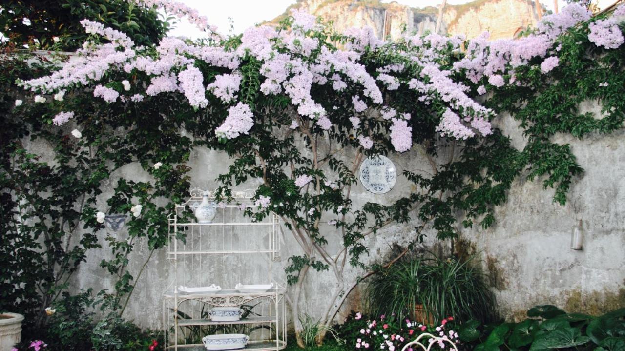 Palazzo Cacace Relais 호텔 메타 외부 사진